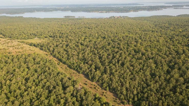 real estate real estate